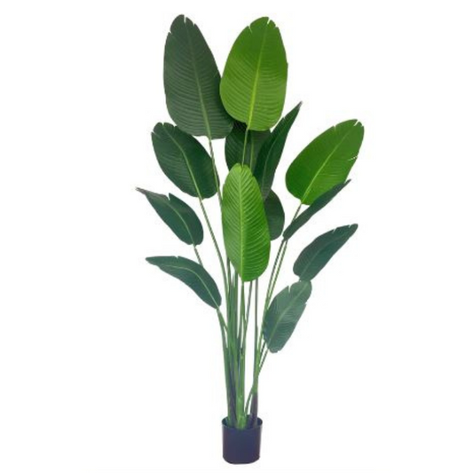 Strelitzia kunstplant